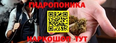 mix Бийск