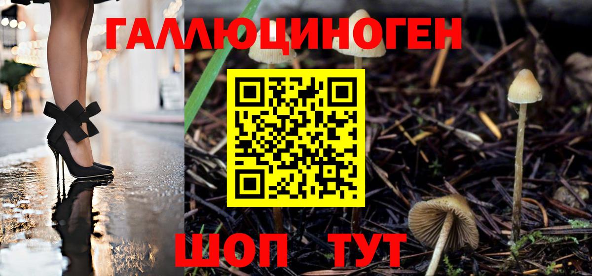 сколько стоит  Дюртюли  Псилоцибиновые грибы MAGIC MUSHROOMS 