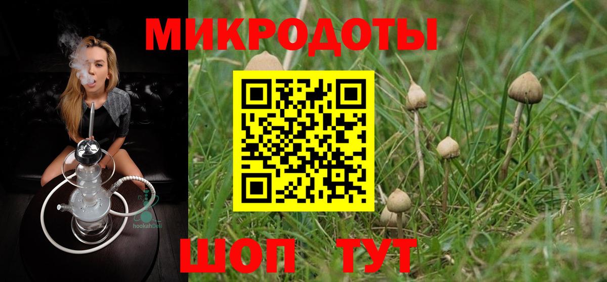 ГАШ Дюртюли