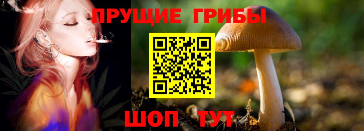 купить наркотики сайты  Галлюциногенные грибы ЛСД  Вход с VPN  Дюртюли 